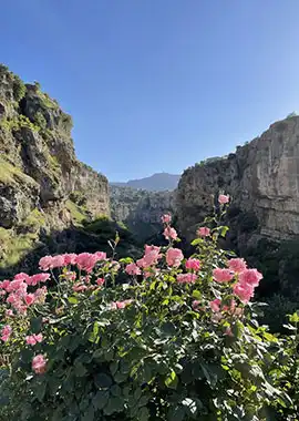 تور اربیل اقلیم کردستان زمینی از تهران