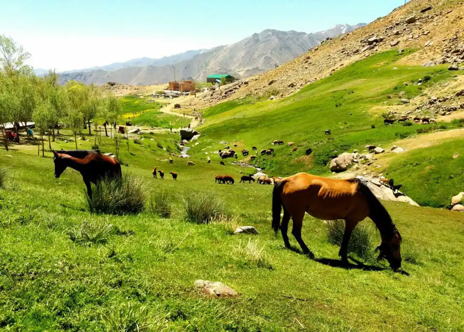 تور قطار همدان